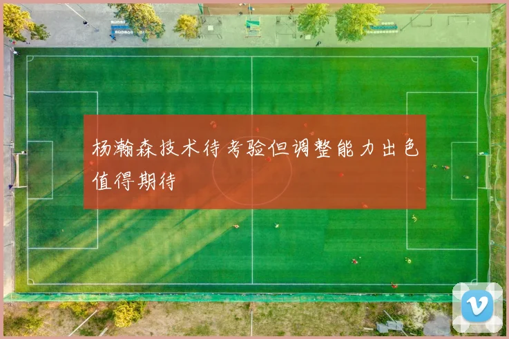 杨瀚森技术待考验但调整能力出色值得期待