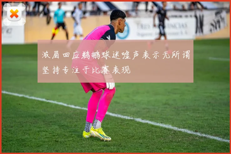 浓眉回应鹈鹕球迷嘘声表示无所谓坚持专注于比赛表现