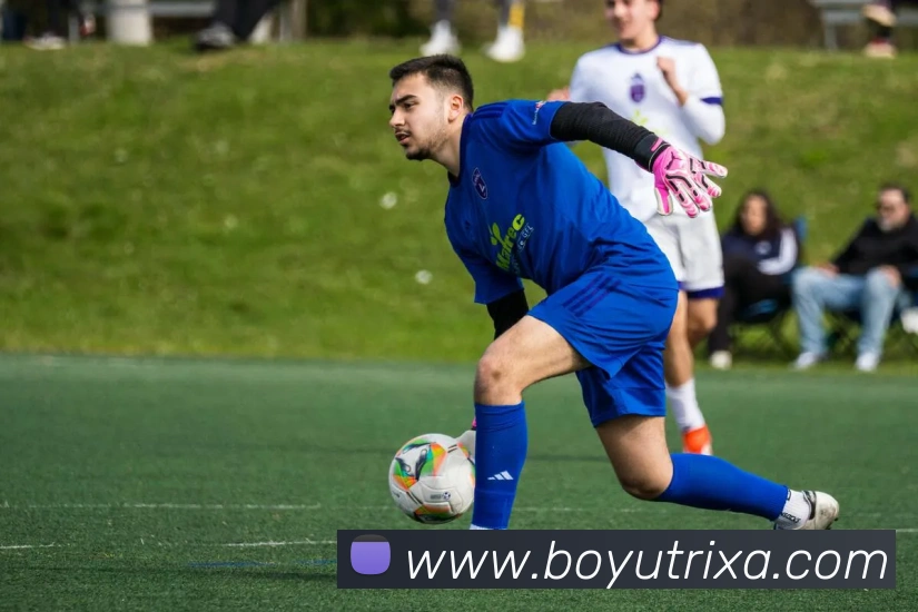 博鱼体育平台生态图