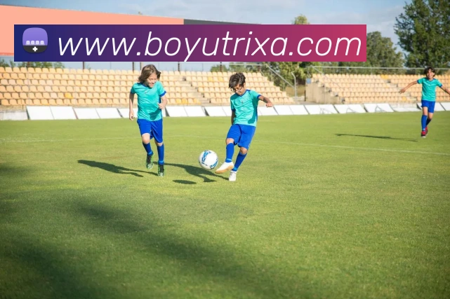 博鱼体育APP 封面图